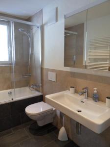 a bathroom with a sink and a toilet and a shower at Silverpeak in Wengen