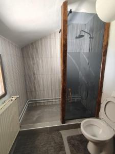 a bathroom with a shower and a toilet at Čardak seosko domaćinstvo 