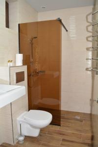 a bathroom with a shower with a toilet and a sink at Amaras Boutique Hotel Lori in Stepʼanavan +17 photos