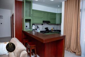 a kitchen with green cabinets and a counter top at Daviel Elite Apartments in Dodoma