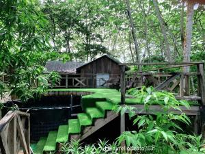a small house with green steps in the forest at Miranda in Arroyo Chico Arriba