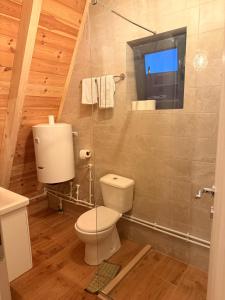 a bathroom with a white toilet and a window at Max view Chalet Žabljak in Žabljak