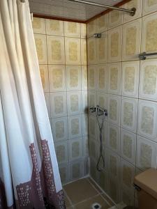 a bathroom with a shower with a shower curtain at Hospedaje Lala in Villarrica