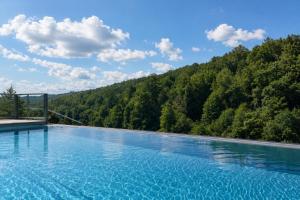 a swimming pool with a mountain in the background at Hotel Spechtshaardt in Rothenbuch