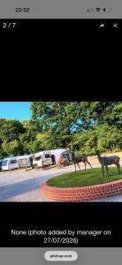 a photo of a picture of a statue of a horse at Rogarnet caravan park in Three Legged Cross