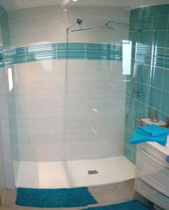 a shower with a glass door in a bathroom at Chez ALAIN & PATRICK in Vauville