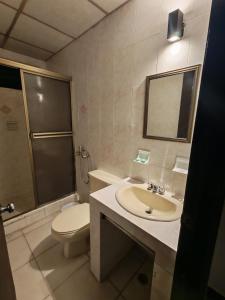a bathroom with a toilet and a sink and a shower at El santa lucia in Panama City