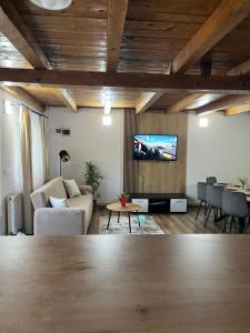 a living room with a couch and a tv at Cabana Vladimir in Cucuceni