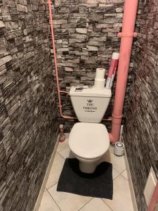 a bathroom with a toilet in a brick wall at Le Jocondien in Joué-lès-Tours