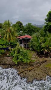 a house with palm trees on the side of a river at Cabinas Jenny Cahuita in Cahuita