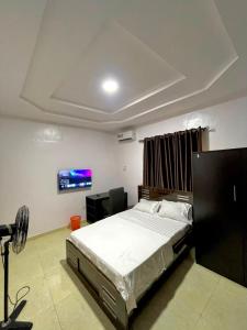 a bedroom with a bed and a flat screen tv at Elected Apartments in Iseri-Oke