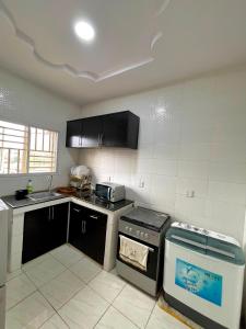 a kitchen with a stove and a sink in it at Elected Apartments in Iseri-Oke +14 photos