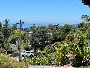 a white truck driving down a road with trees at Charming studio one mile from beach in Aptos
