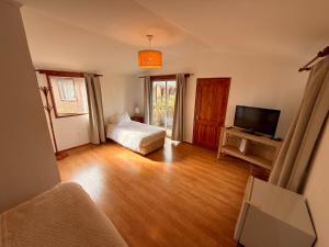 a living room with a bed and a television and a room at Spa Pirque & Hotel in Pirque
