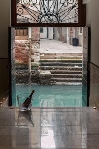 a bird sitting in a chair in front of a pool of water at Charming Palace Corte del Teatro in Venice