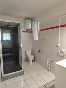 a bathroom with a shower and a toilet in it at Studio spacieux au calme in Capesterre