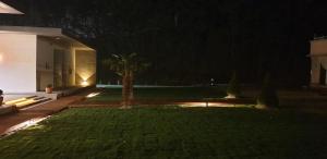 a backyard at night with a palm tree in the yard at Gangneung Thebrillant in Gangneung