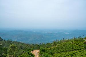 a view of a tea plantation from the mountain at leisure Mount View in Haputale