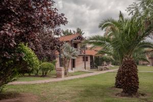 a house with a palm tree in the yard at Cabañas Costa Alta in Mina Clavero