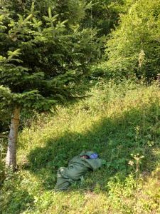 a person laying in the grass near a tree at Djedova koliba in Žabljak +1 photo