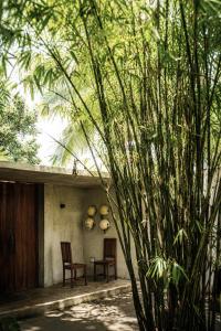 a house with two chairs sitting on a porch with trees at Banyan Villa Panglao with private pool in Panglao Island