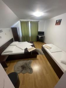 a small room with two beds and a rug at Pensiunea Sonia in Cârțișoara