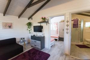 Μια τηλεόραση ή/και κέντρο ψυχαγωγίας στο Przylesie21