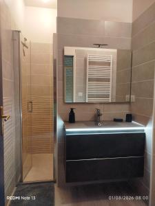 a bathroom with a sink and a shower at Gîte "fils de laine" Piscine chauffée interieure et Sauna ouverts toute l'année in Celles-sur-Plaine +7 photos