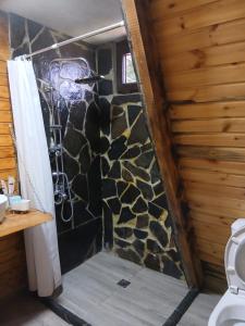 a shower in a bathroom with a stone wall at A-frame с видом на горы in Kokotauri