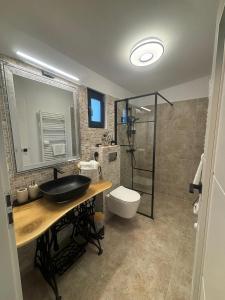 a bathroom with a sink and a toilet and a shower at Casa Tamy Bran in Sohodol