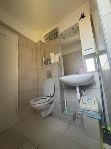 a bathroom with a toilet and a sink at Babzsi Nyaraló in Vonyarcvashegy +27 photos