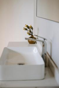 a small plant in a bowl sitting on a table at Oudeberg Living- Oudeberg Lodge in Sutherland +2 photos