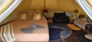 a bedroom with a bed in a tent at เดอะเบสภูลังกาพะเยา in Ban Sakoen
