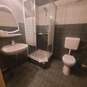 a bathroom with a shower and a toilet and a sink at Ezüstfenyő Üdülő Visegrád in Visegrád