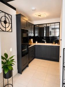 a kitchen with black cabinets and a potted plant at SeaView Apartment Suite in Cobh