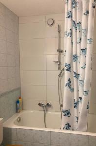 a bathroom with a bath tub with a shower curtain at Mountain Studio in La Tzoumaz