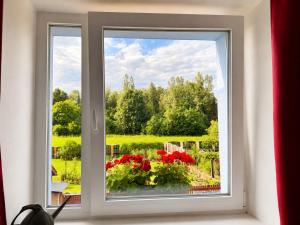 a window with a view of a garden at Soukromý apartmán s vlastním vstupem in Nová Ves