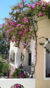 Giardino di TheArtemis Perissa