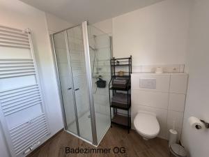 a bathroom with a glass shower and a toilet at Brokeloh - Hier bin ich zuhause ! in Landesbergen +24 photos