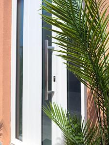 a palm tree in front of a door at Bosa Centro Rooms in Bosa