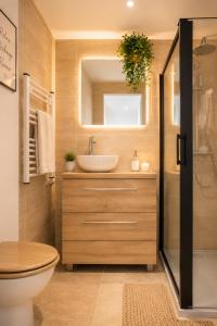 a bathroom with a sink and a toilet and a mirror at Magic Disney 5mn Peaceful Home Garden Parking in Chessy +13 photos