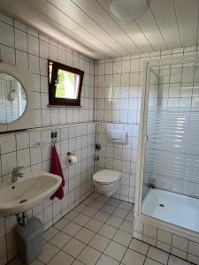 a bathroom with a sink and a toilet and a shower at Kleines grünes Gästehaus in Altenbeken +13 photos