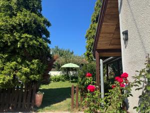 ein Garten mit Rosen, einem Zaun und einem Sonnenschirm in der Unterkunft Casa SiMaria in Simeria
