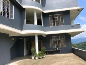 a house with blue walls and potted plants at Naga Hills Backpacker Hostel in Kohīma +12 photos