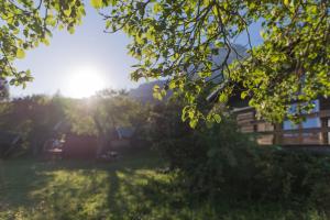 a view of a yard with the sun shining through a tree at chalets studio du vieux frêne in Saint-Hilaire