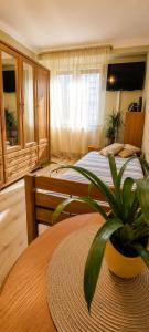 a bedroom with a bed and a potted plant on a table at Apartament Okrzei in Lublin