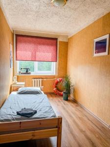 ein Schlafzimmer mit einem Bett und einem Fenster in der Unterkunft Kalmāri in Kolka