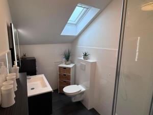 a bathroom with a toilet and a sink and a skylight at Ferienwohnung Bauernhof Rohde in Gremersdorf +25 photos