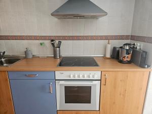 a kitchen with a stove and a sink at Villa Sojuela Green in Sojuela