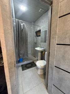a bathroom with a toilet and a shower and a sink at Kond studio in Yerevan